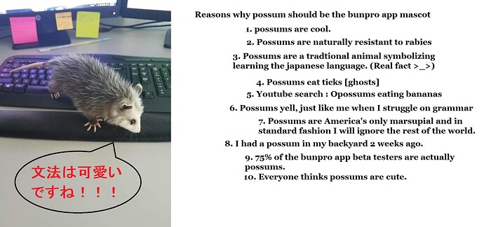 Trust me admins possums are cool