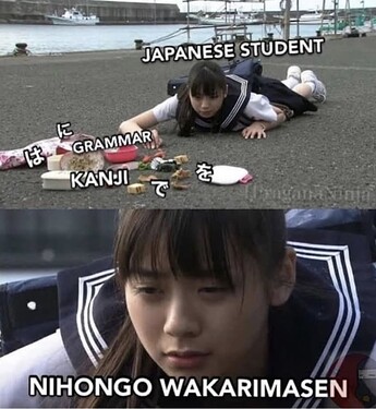 Nihongo-Wakarimasen-768x832