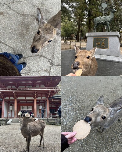 京都旅行一日目.PNG