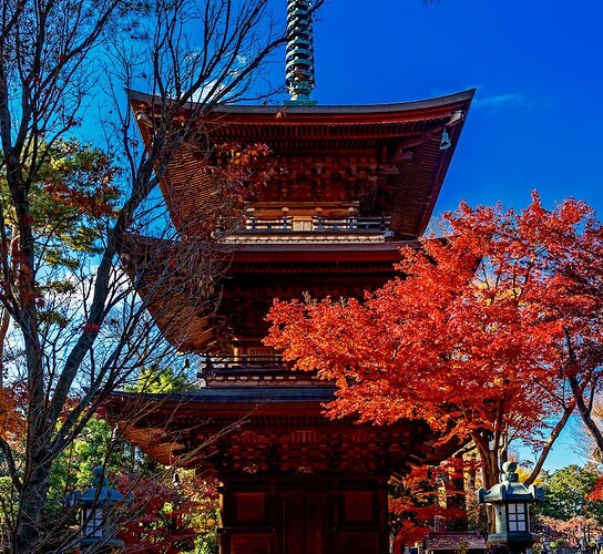 Gotokuji-Pagoda
