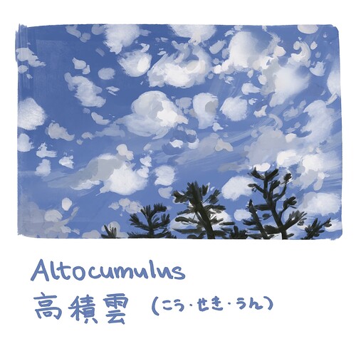 202605_-_Altocumulus