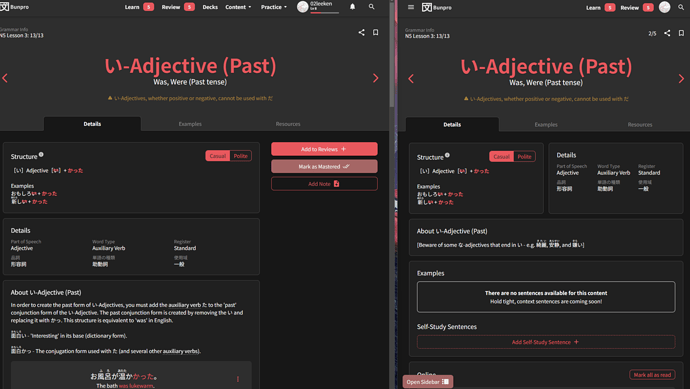 bunpro_lesson_issue