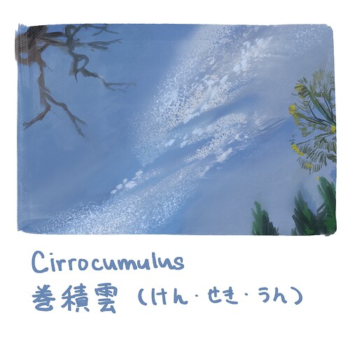 202605_-_Cirrocumulus